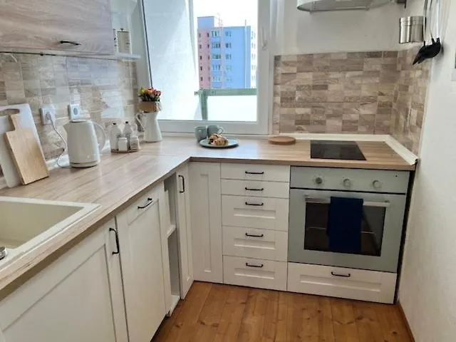 דירה Cute With Amazing Balcony Near Center ברטיסלאבה